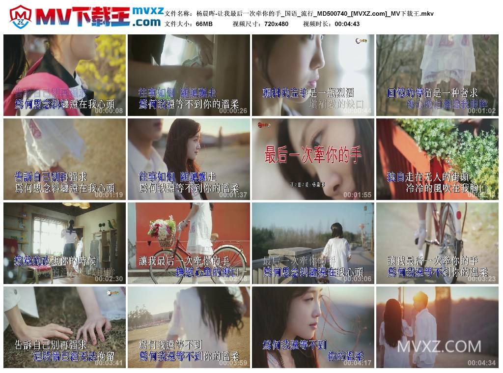 杨晨晖-让我最后一次牵你的手_国语_流行_MD500740